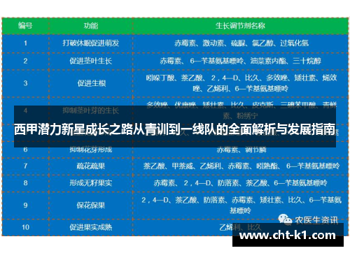 西甲潜力新星成长之路从青训到一线队的全面解析与发展指南